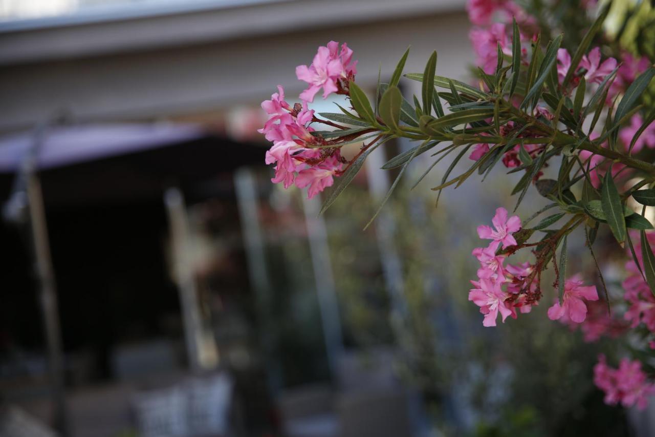 Guest House Lorenta Водице Екстер'єр фото