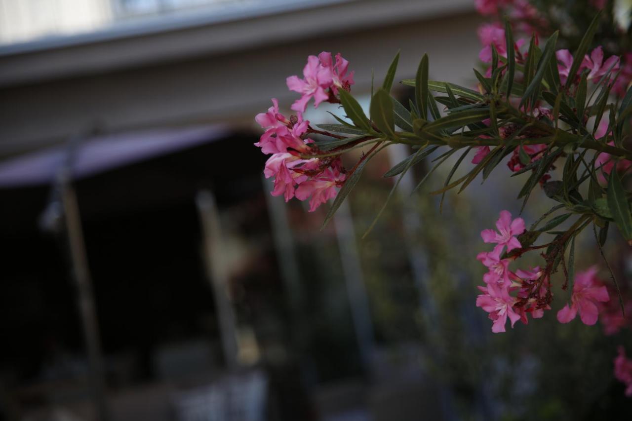 Guest House Lorenta Водице Екстер'єр фото